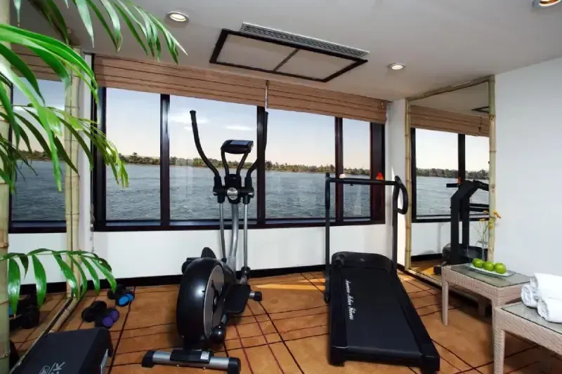 La Palestra della Crociera Lago Nasser Movenpick Prince Abbas